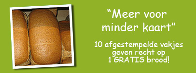 Actie 't Haegske